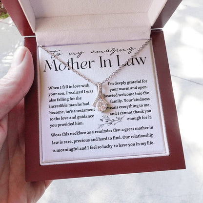 AMAZING MOTHER IN LAW